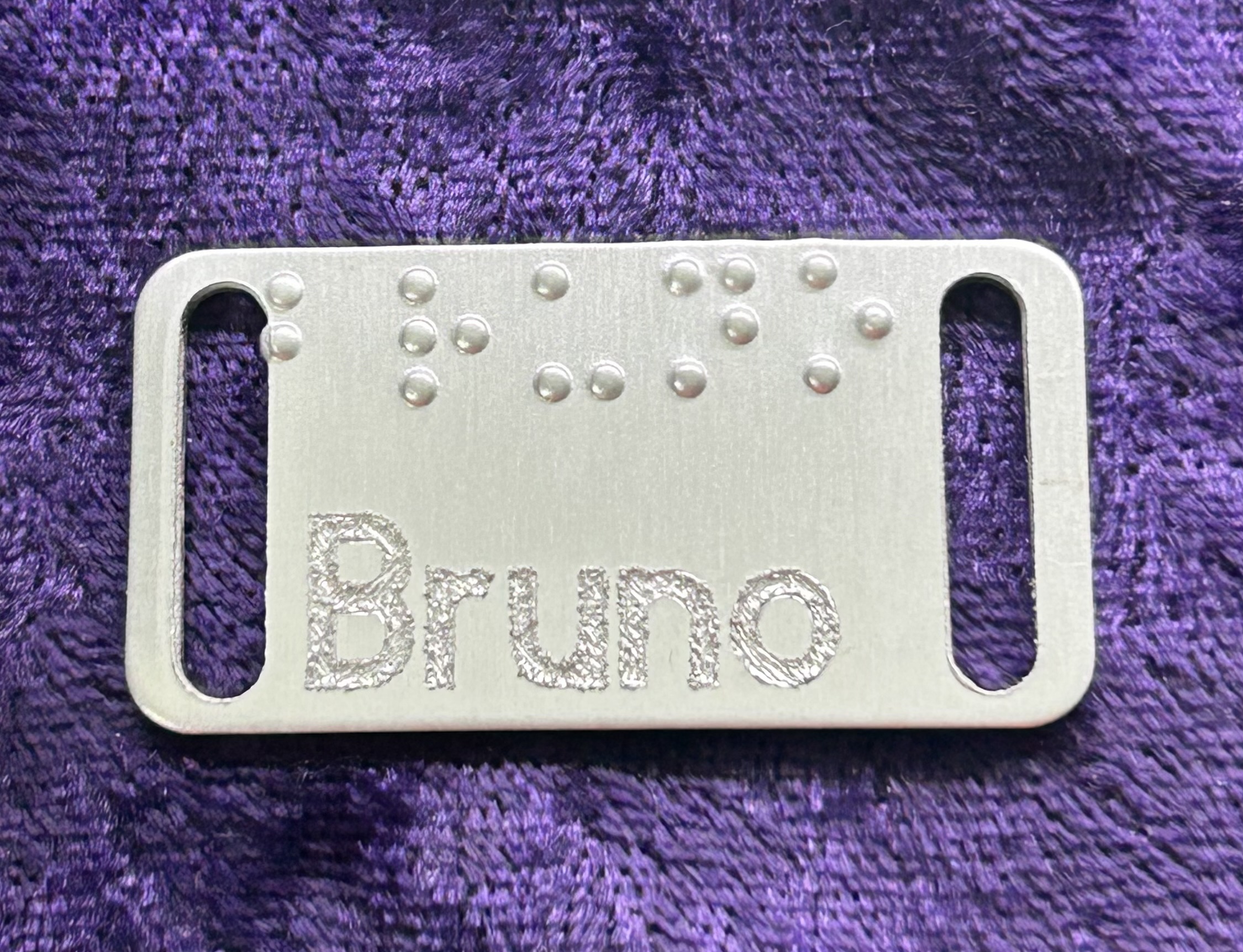 Photo of our Posh Pet Slide-on Collar tag, shown here with the name "Bruno," in both braille and engraving.